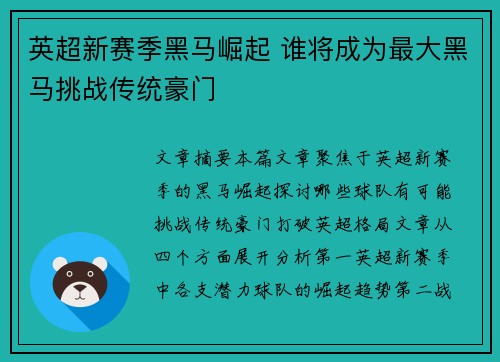 英超新赛季黑马崛起 谁将成为最大黑马挑战传统豪门